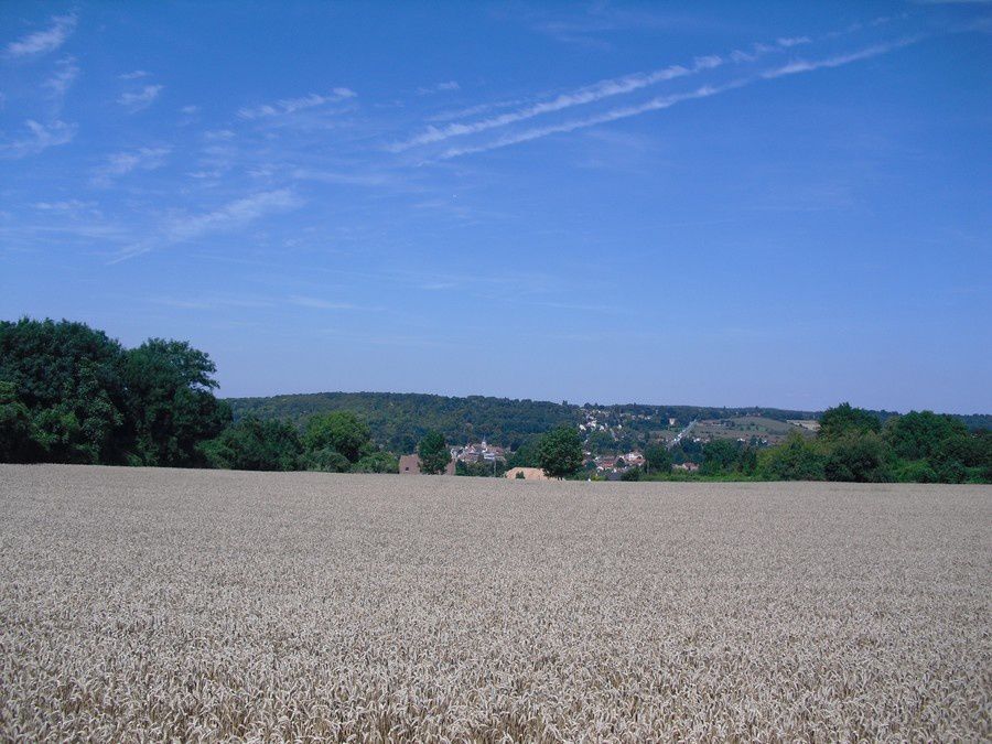 Le 31-07-14-St Germain sur Morin