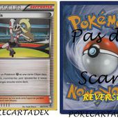 SERIE/XY/POINGS FURIEUX/91-100/95/111 - pokecartadex.over-blog.com