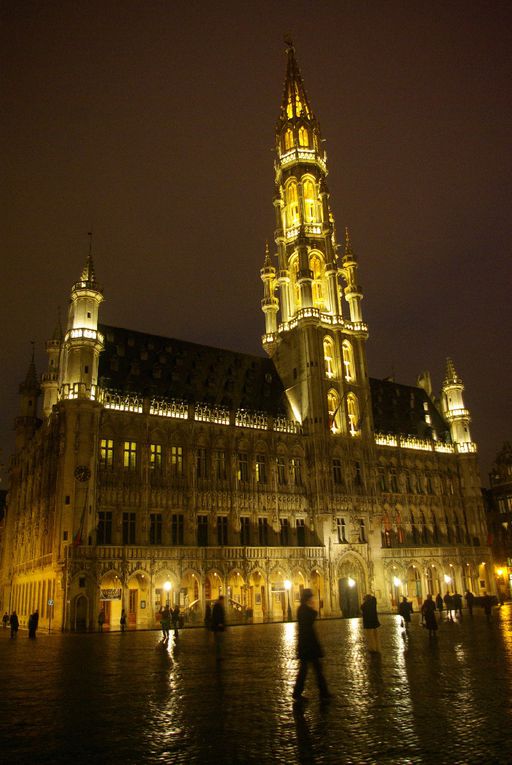 Quelques photographies de notre visite en février 2009 :
Le musée Horta, où vécut un des pères de l'art nouveau, le musée des instruments de musique (MIM), le Centre belge de la BD, l'Hôtel Tassel, l'Hôtel Solvay, et beaucoup d'autres encore.