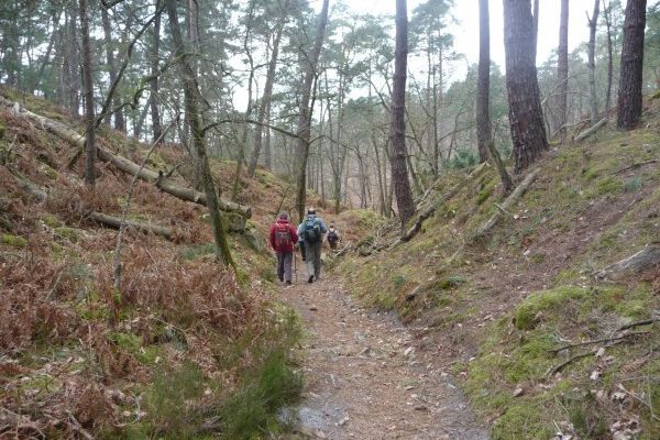 Randonnée de Moret Veneux à Fontainebleau - 21 Km - Chap.2/3.