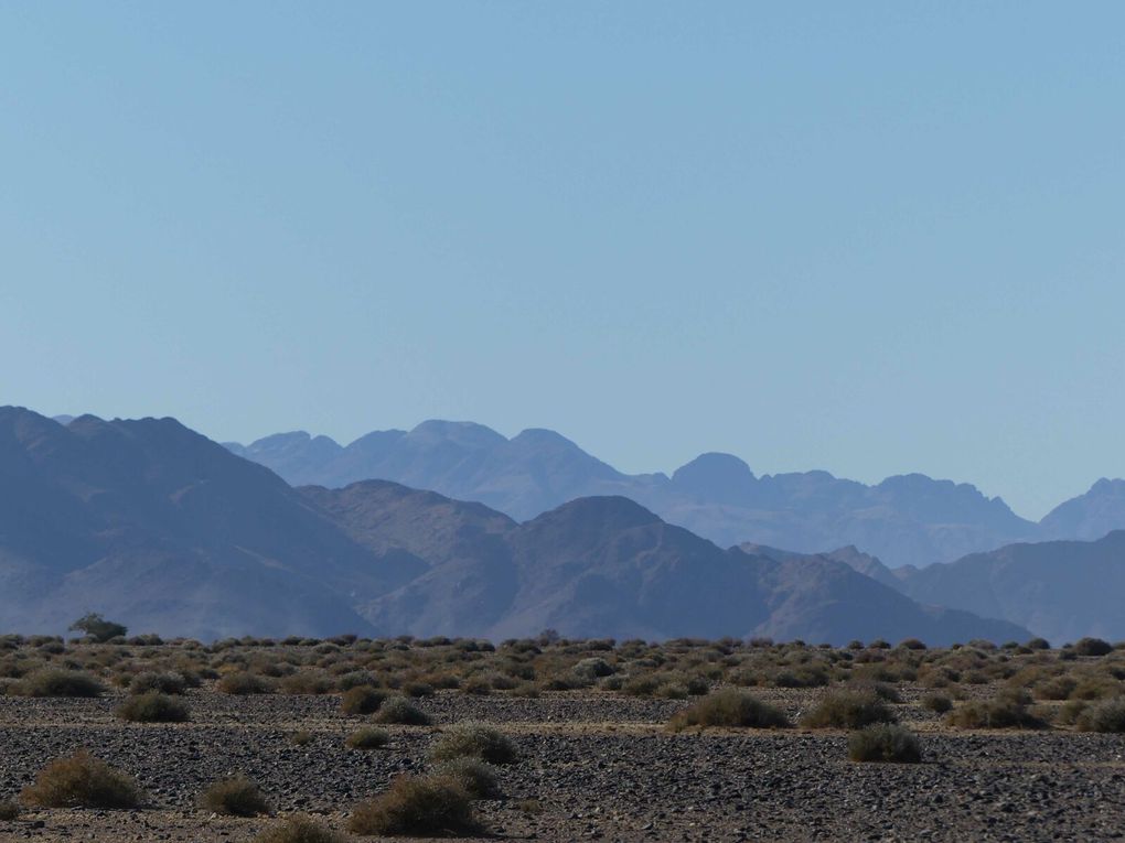 Du chaud au froid, Namibie la côte Atlantique, retour précipé !