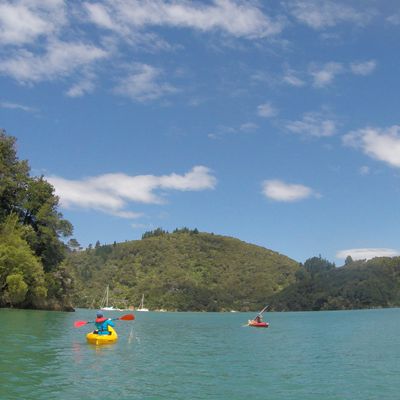 Randonnée et Kayak  ~ Kenepuru Sound  ~ Nouvelle Zélande