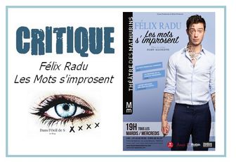 👁️ Critique Humour - Félix Radu dans Les mots s'improsent. (MAJ)