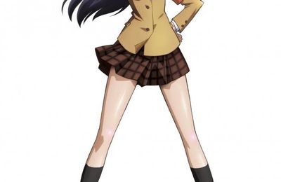 Seitokai Yakuindomo 11