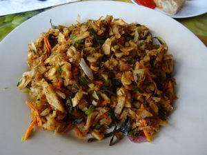 Kottu un jour, Kottu toujours