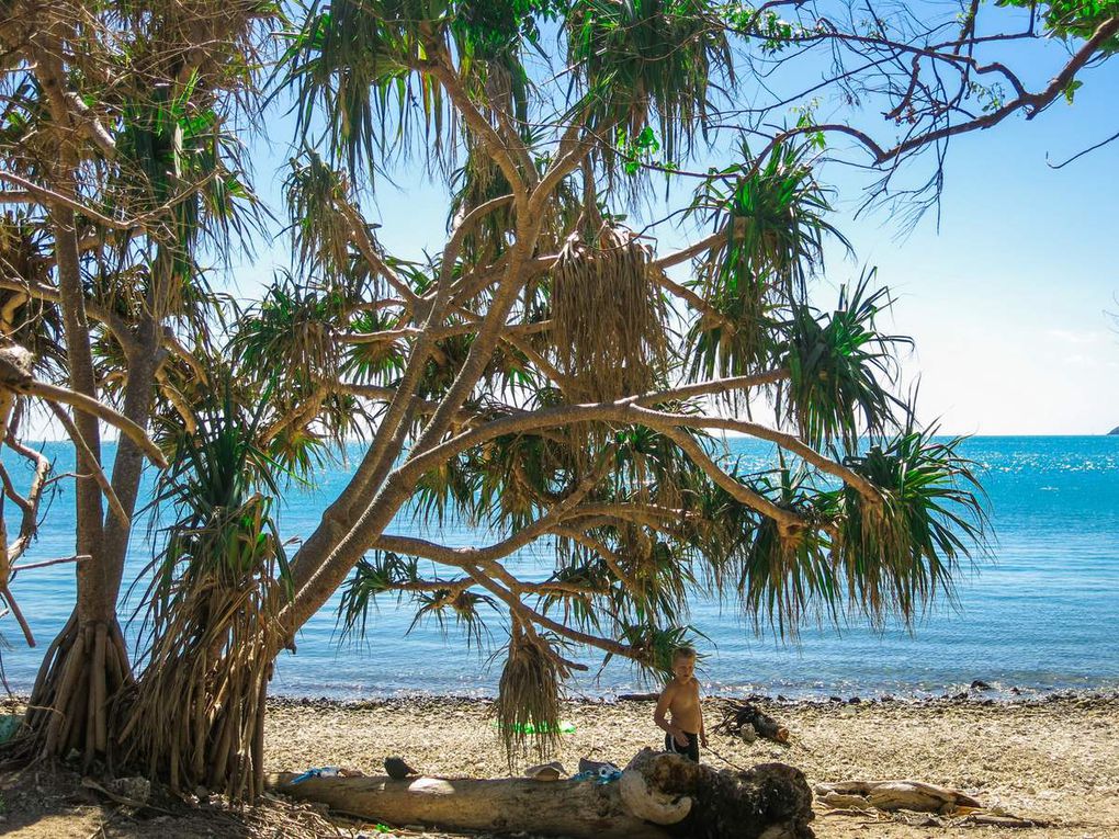 De Airlie Beach à Rockampton