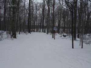 Ski de fond Mont St Bruno