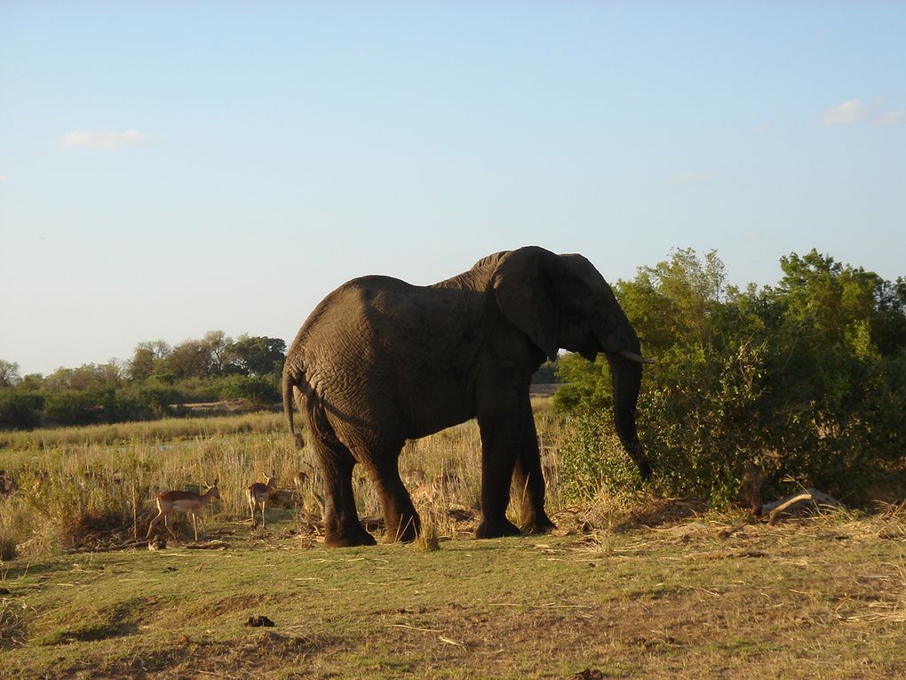 Album - Parc-Kruger