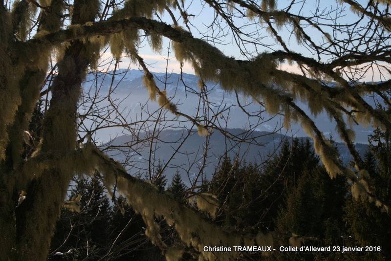 BELLEDONNE - COLLET D'ALLEVARD CIRCUIT 4