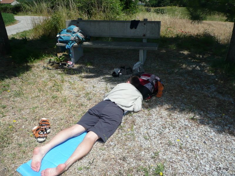 Notre chemin de Glun (07) jusqu'en Arles (13)