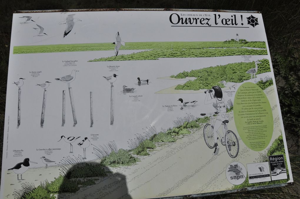 Album - Camargue