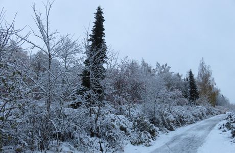 ❄️ First snow in Turku -  25th October 2017 ❄️