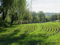 La nature toute pour eux