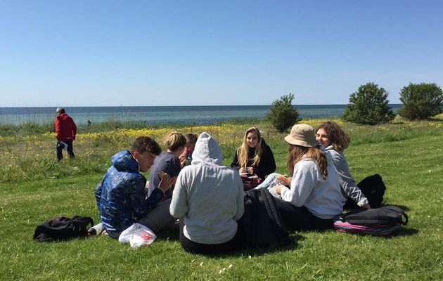 Beach lunch