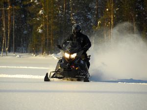 Un hiver en Laponie