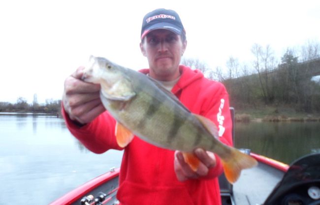 Quelques belles perches, mais manque de gros poisson par manque de protection... Pas de photo de notre record (49cm).