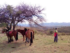 Faire de l'équitation en Amérique du sud, cheked !