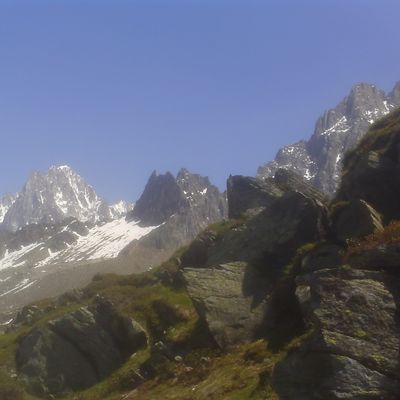 L'été qui vient...