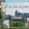 15 eme foire aux Laines à Chateaudun