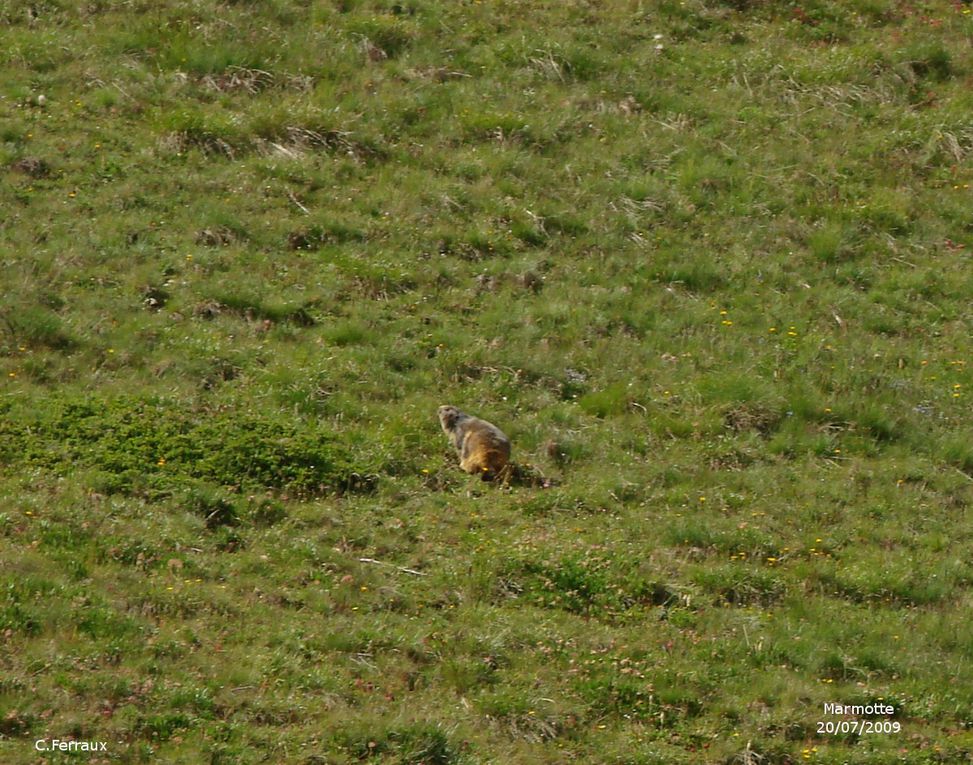 Album - 002-haute-maurienne