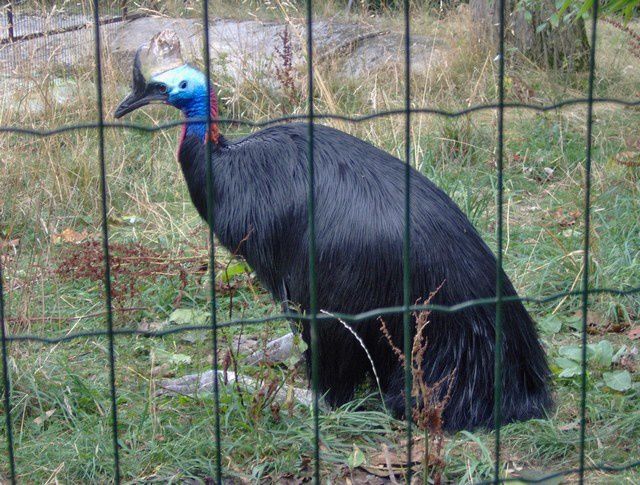 Album - zoo-maubeuge