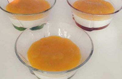 Recette Panna Cotta au coulis de Mirabelles 