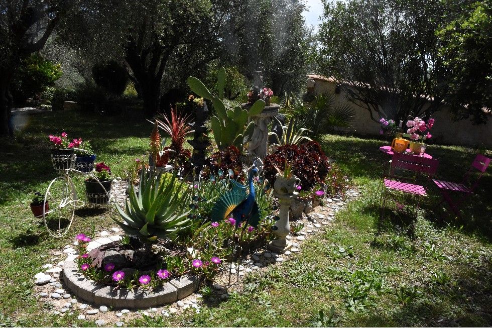 VERT CHEZ MOI J’HABITE CHEZ UNE CORDYLINE (1) MON JARDIN 2020