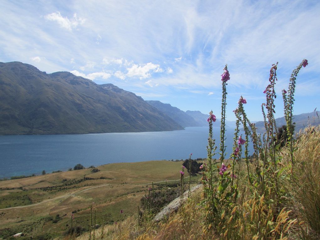 Queenstown en long, en large, en travers.