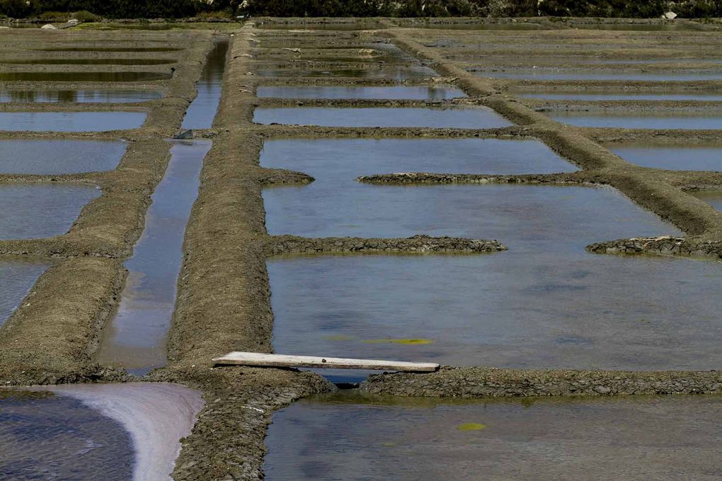 Marais salants de Guérande 