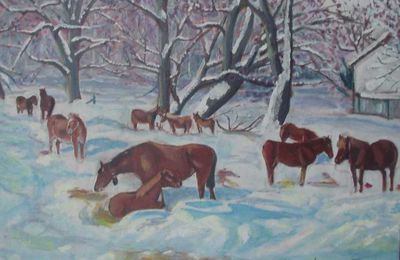 chevaux dans la neige