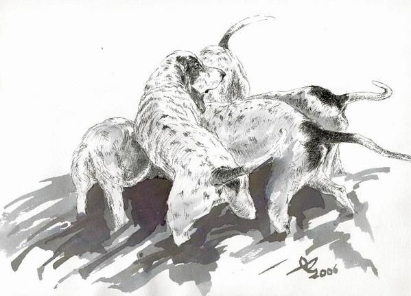 Lavis, aquarelles pastels et crayon aquarellable de chiens de meute