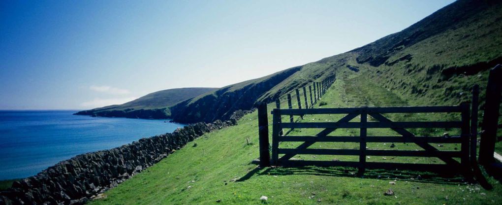 Album - Les Shetlands