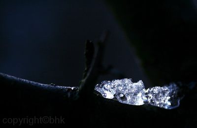 Perles d'hiver,