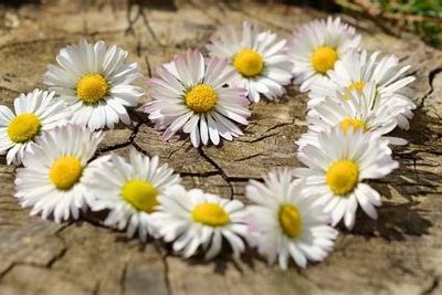CROCHET : j'ai semé le printemps