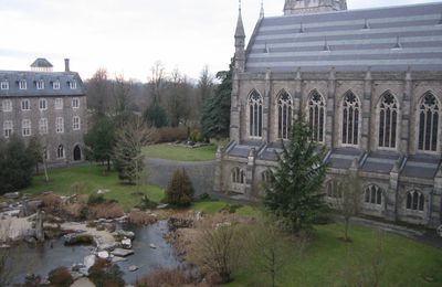 National university of Ireland, Maynooth