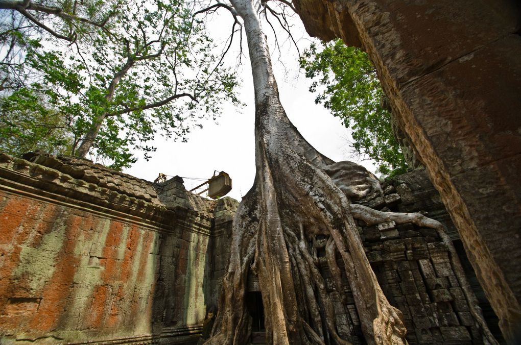 1 jour de visite du site des temples d'Angkor a Siem Reap au Cambodge