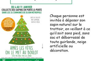 Collecte des sapins