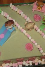 Gateau petshop