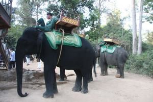 Album - Cambodge-janvier-2009