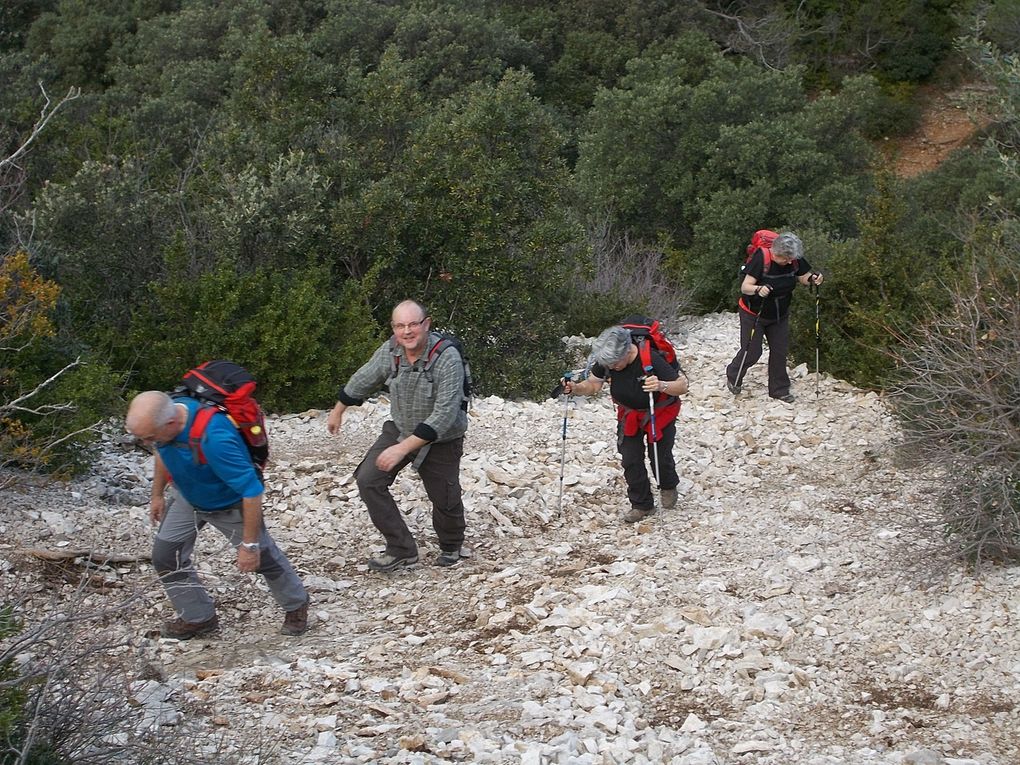 Album - les-Dentelles--janvier