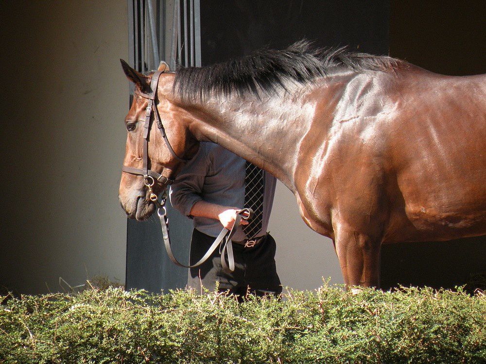 Album - 20110924-AUTEUIL