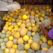 C'est la saison des melons ! - Fruits de saison (19-14) - Noy et Gilbert en Thaïlande