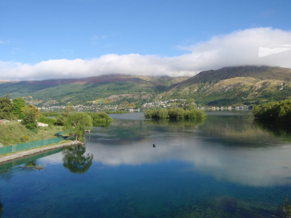 Album - SOUTH-NEW-ZEALAND