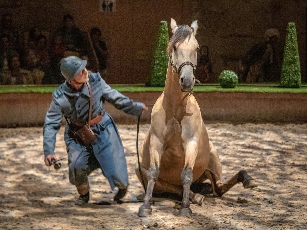 LES GRANDES ÉCURIES  SPECTACLE ÉQUESTRE  &gt;  1er NOVEMBRE 2020