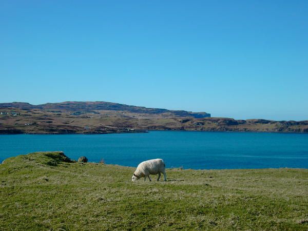 Quelques beaux paysages &eacute;cossais...