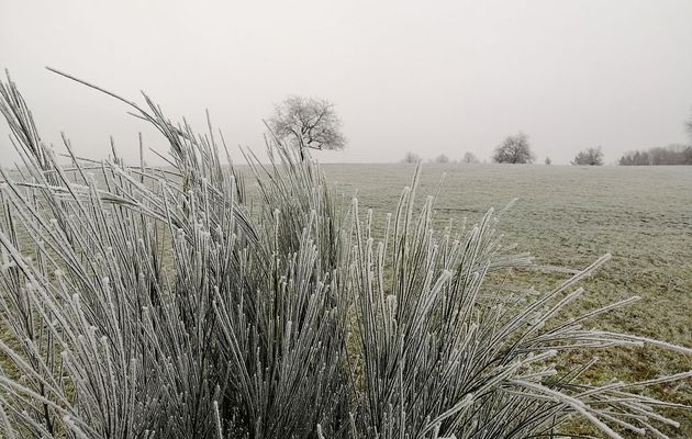 Météo des Vallées