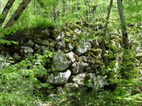 Il observe avec curiosité le groupe qui se dirige vers la voie romaine étayée par un solide mur de soutènement.