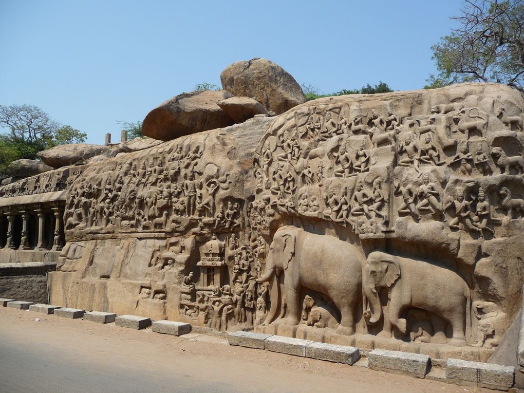 Album - Inde-du-Sud : Tamil Nadu, Kerala, Karnataka.