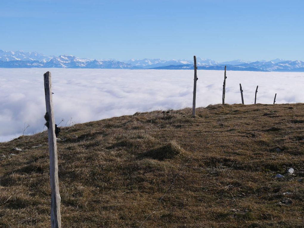 Grand Colombier 1524m - (Jura)