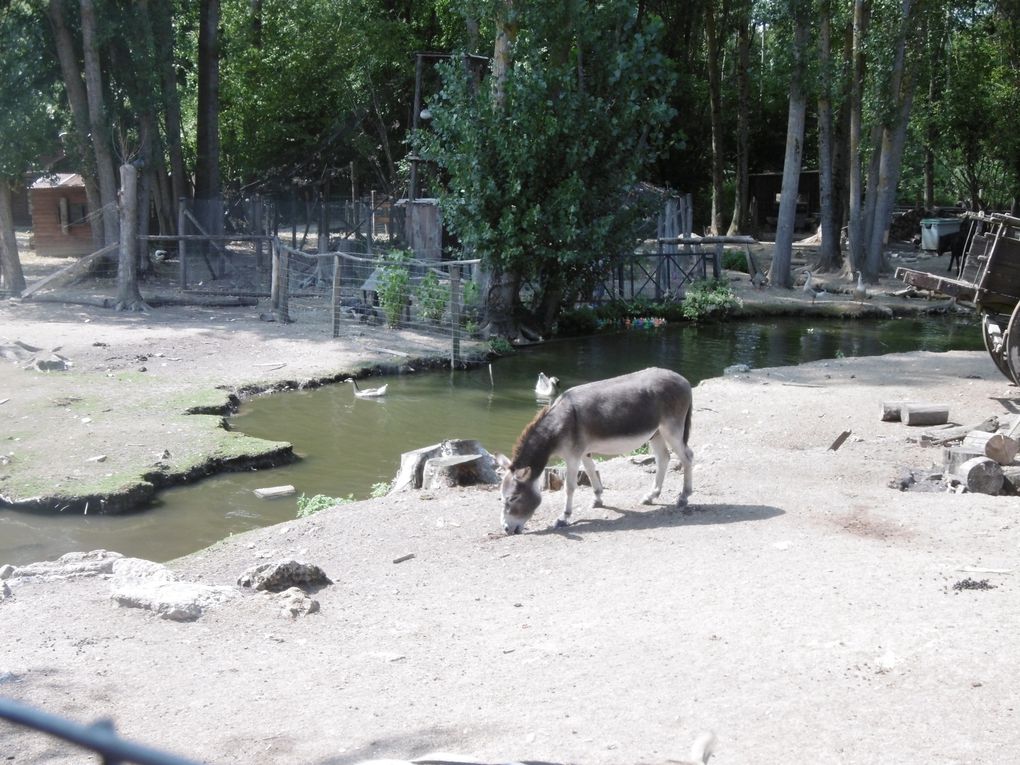 le Ranch du Moulin St Martin à Montmirail